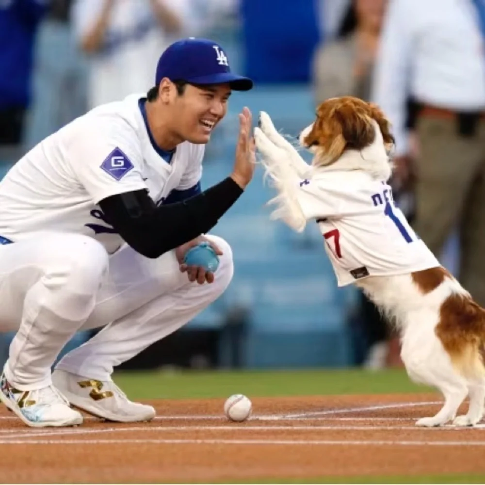 New Pets First Los Angeles Dodgers White Ohtani 17 Baseball Jersey - Picture 3 of 4